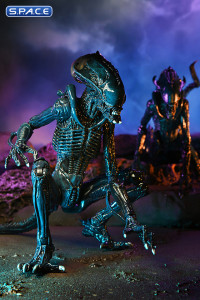Set of 2: Alien vs. Predator Movie Deco Series 1 (Alien vs. Predator)