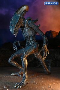 Set of 2: Alien vs. Predator Movie Deco Series 1 (Alien vs. Predator)