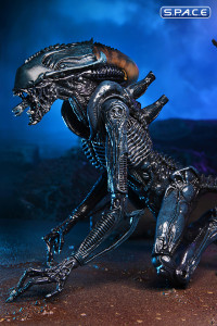 Set of 2: Alien vs. Predator Movie Deco Series 1 (Alien vs. Predator)