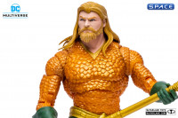 Aquaman from Justice League: Endless Winter (DC Multiverse)