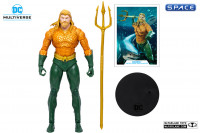 Aquaman from Justice League: Endless Winter (DC Multiverse)