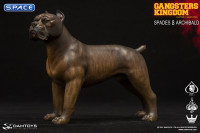 1/6 Scale tiger stripe Casro - Spade 8 Dog (Gangsters Kingdom)