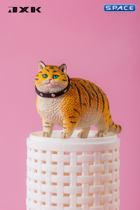 1/6 Scale Fat Cat - The year of the tiger