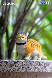 1/6 Scale Fat Cat - The year of the tiger