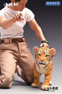 1/6 Scale Tigerkin