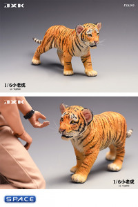 1/6 Scale Tigerkin