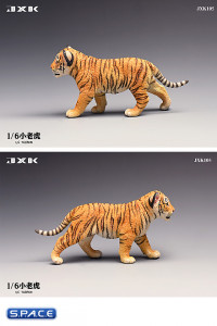 1/6 Scale Tigerkin