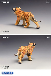 1/6 Scale Tigerkin