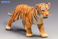 1/6 Scale Tigerkin