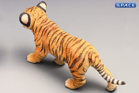 1/6 Scale Tigerkin