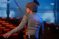 Luke Skywalker Bespin Bust (Star Wars)