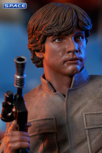 Luke Skywalker Bespin Bust (Star Wars)