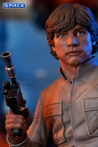 Luke Skywalker Bespin Bust (Star Wars)