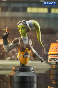 Hera and Chopper Bust Set (Star Wars Rebels)