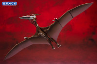 S.H.MonsterArts Rodan 2021 - The Second Form (Godzilla Singular Point)