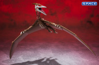 S.H.MonsterArts Rodan 2021 - The Second Form (Godzilla Singular Point)