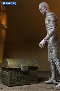 The Mummy Accessory Pack (Universal Monsters)