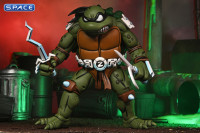 Slash (Teenage Mutant Ninja Turtles)