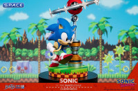 Sonic the Hedgehog PVC Statue - Collectors Edition (Sonic the Hedgehog)