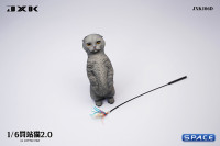 1/6 Scale Scottish Fold (grey)