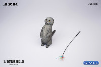 1/6 Scale Scottish Fold (grey)