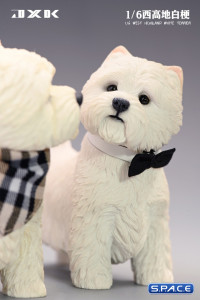 1/6 Scale white West Highland Terrier Version A