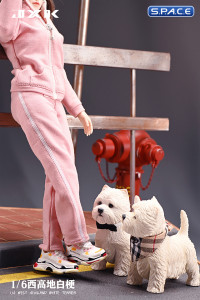 1/6 Scale white West Highland Terrier Version A