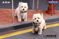 1/6 Scale white West Highland Terrier Version A