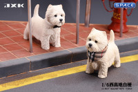 1/6 Scale white West Highland Terrier Version A