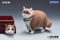 1/6 Scale Fat Cat with changeable Head (brown)