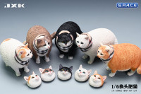 1/6 Scale Fat Cat with changeable Head (brown)