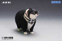 1/6 Scale Fat Cat with changeable Head (black)