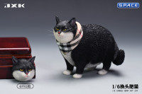 1/6 Scale Fat Cat with changeable Head (black)