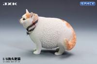 1/6 Scale Fat Cat with changeable Head (tricolor)