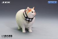 1/6 Scale Fat Cat with changeable Head (tricolor)