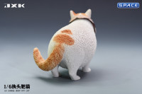 1/6 Scale Fat Cat with changeable Head (tricolor)