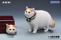 1/6 Scale Fat Cat with changeable Head (tricolor)