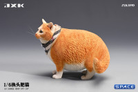 1/6 Scale Fat Cat with changeable Head (red)