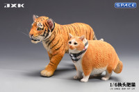 1/6 Scale Fat Cat with changeable Head (red)