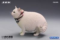 1/6 Scale Fat Cat with changeable Head (white)