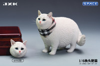 1/6 Scale Fat Cat with changeable Head (white)