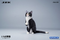 1/6 Scale Thumb Up Cat (black)