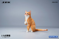 1/6 Scale Thumb Up Cat (red)