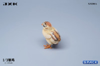 1/3 Scale Chick Version A