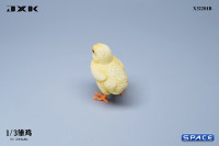 1/3 Scale Chick Version B