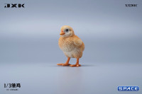 1/3 Scale Chick Version C