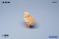 1/3 Scale Chick Version C