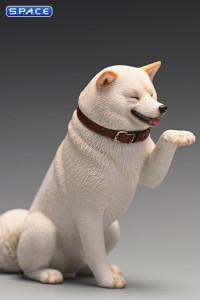 1/6 Scale Play Cute Shiba Inu (white)