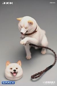 1/6 Scale Play Cute Shiba Inu (white)