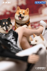 1/6 Scale Play Cute Shiba Inu (white)